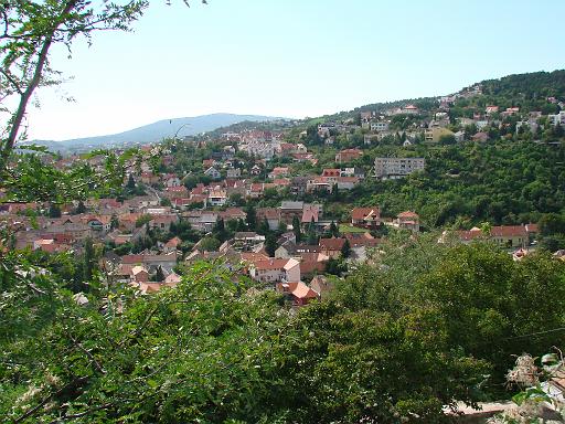 DSC02206